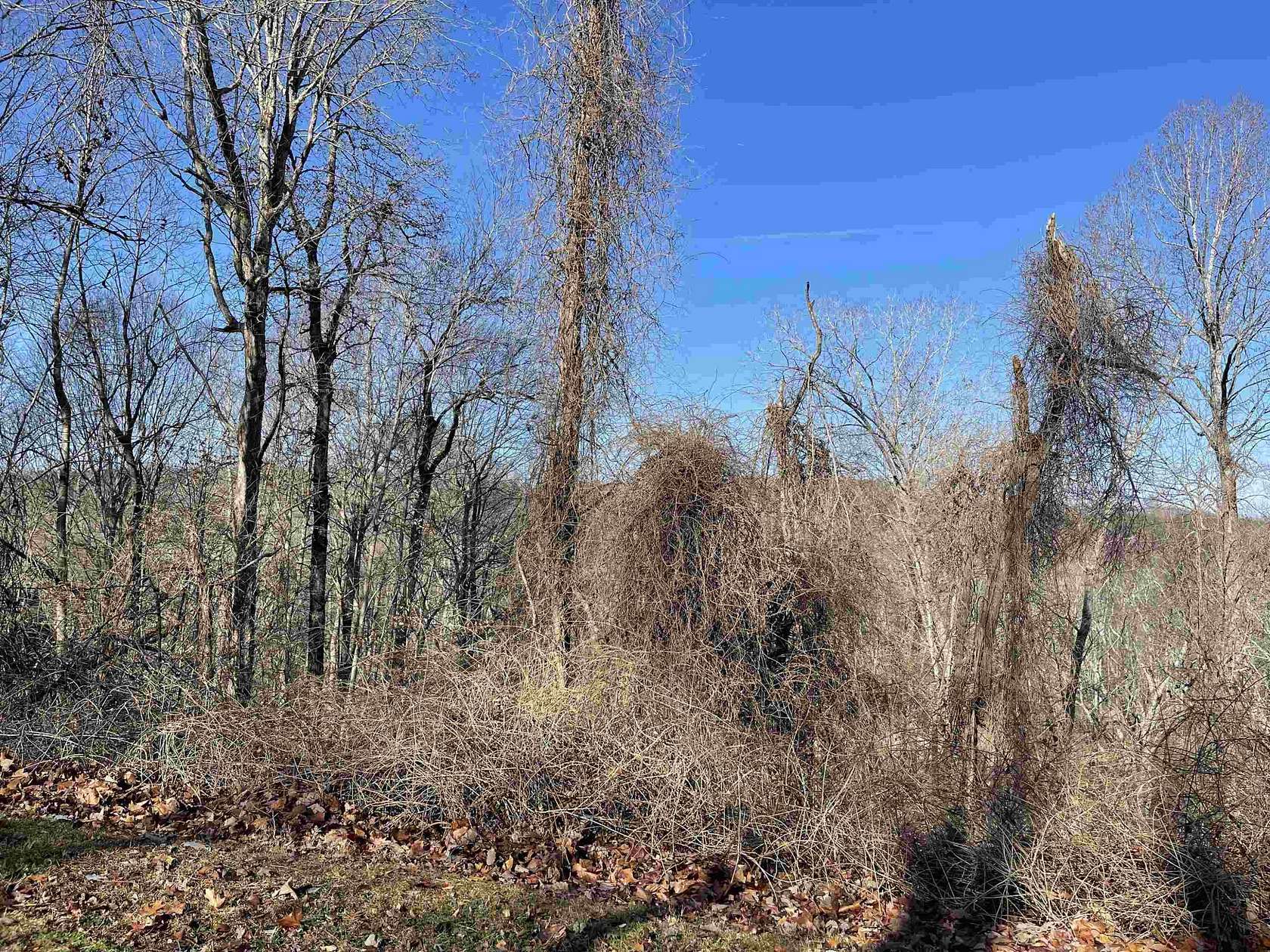 1 Acre of Residential Land for Sale in Chapel Hill, North Carolina
