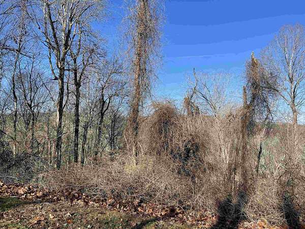 1 Acre of Residential Land for Sale in Chapel Hill, North Carolina