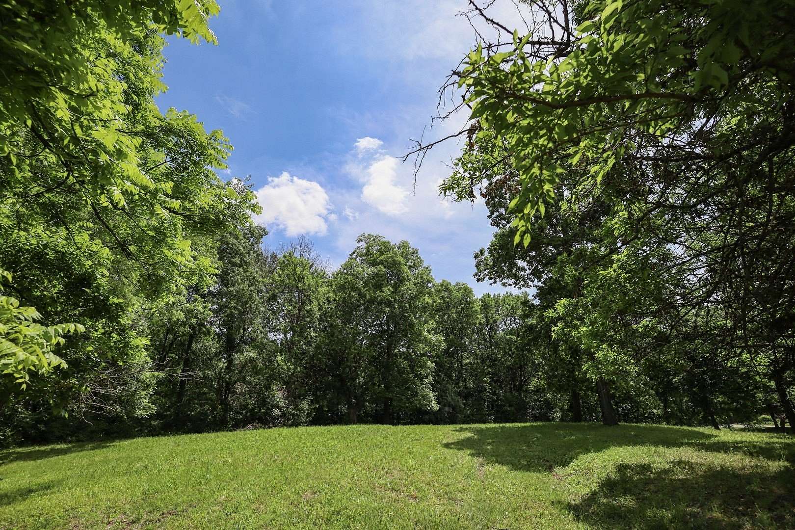 1 Acre of Residential Land for Sale in Mount Zion, Illinois