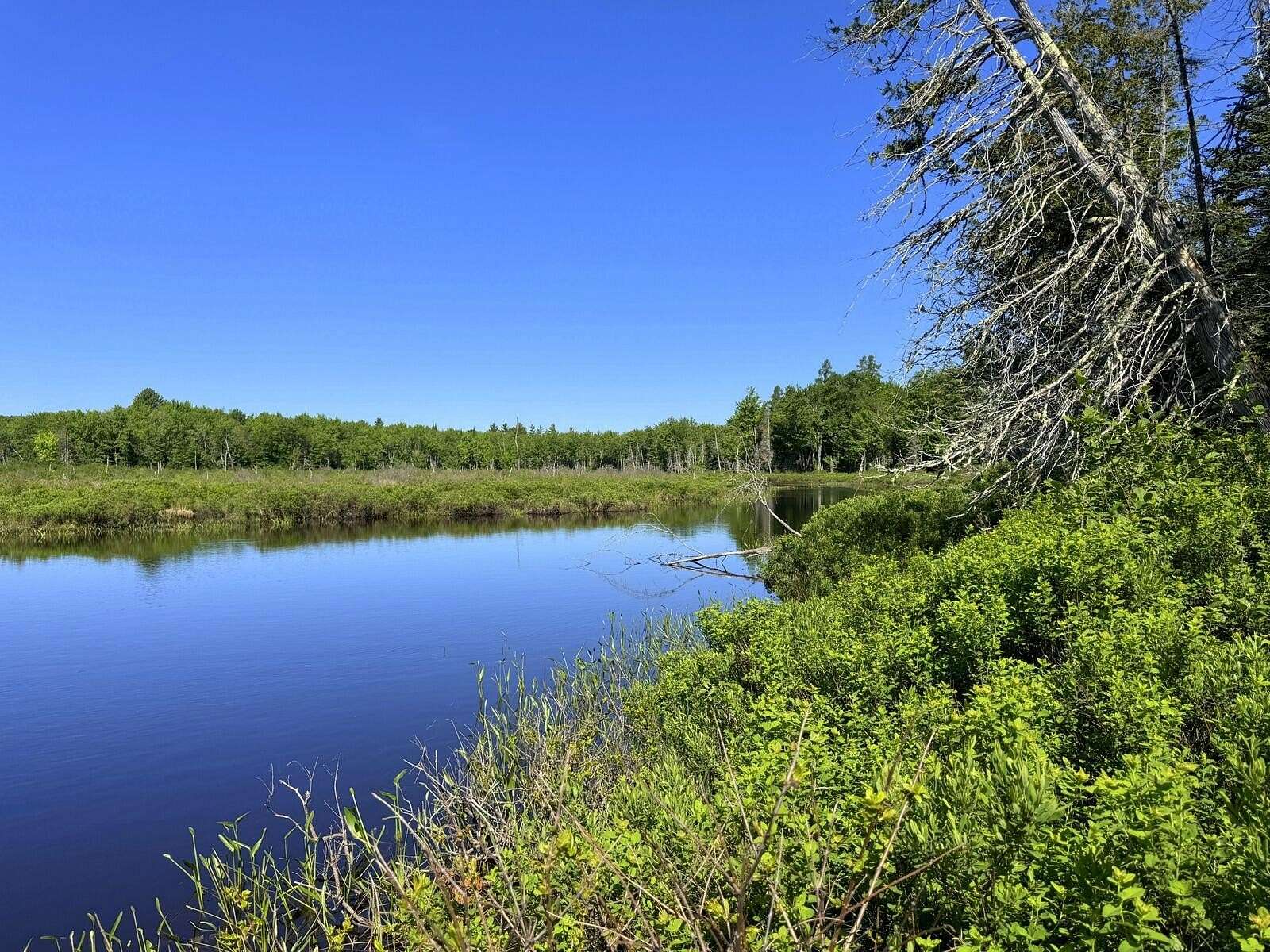 14.5 Acres of Land for Sale in New Vineyard, Maine