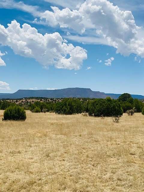 16 Acres of Land for Sale in Ribera, New Mexico