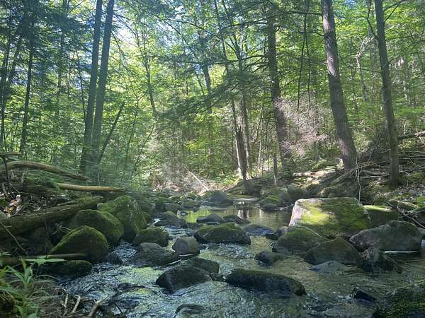 5 Acres of Residential Land for Sale in Mineville, New York