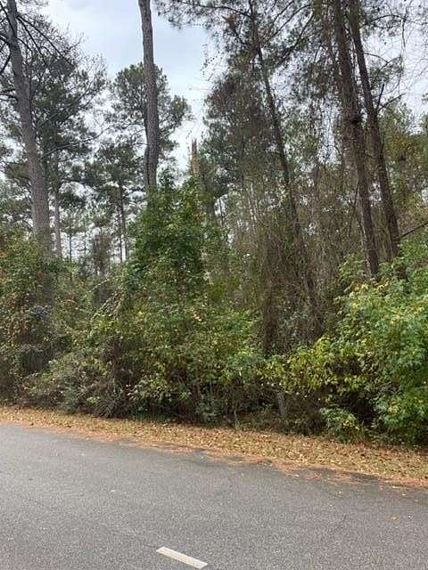 0.77 Acres of Residential Land for Sale in Americus, Georgia