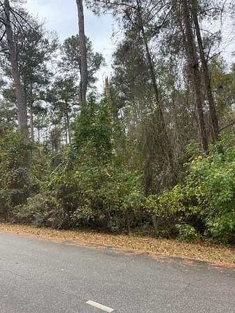 0.77 Acres of Residential Land for Sale in Americus, Georgia