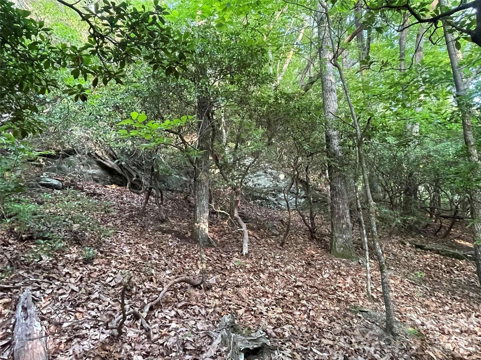 2.58 Acres of Residential Land for Sale in Fairview, North Carolina