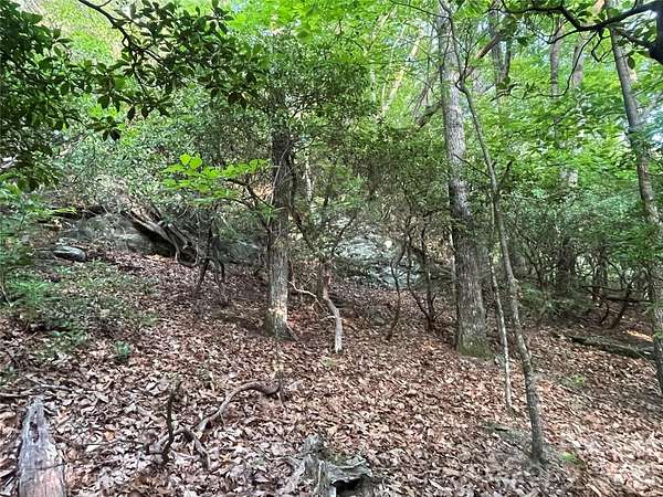 2.58 Acres of Residential Land for Sale in Fairview, North Carolina