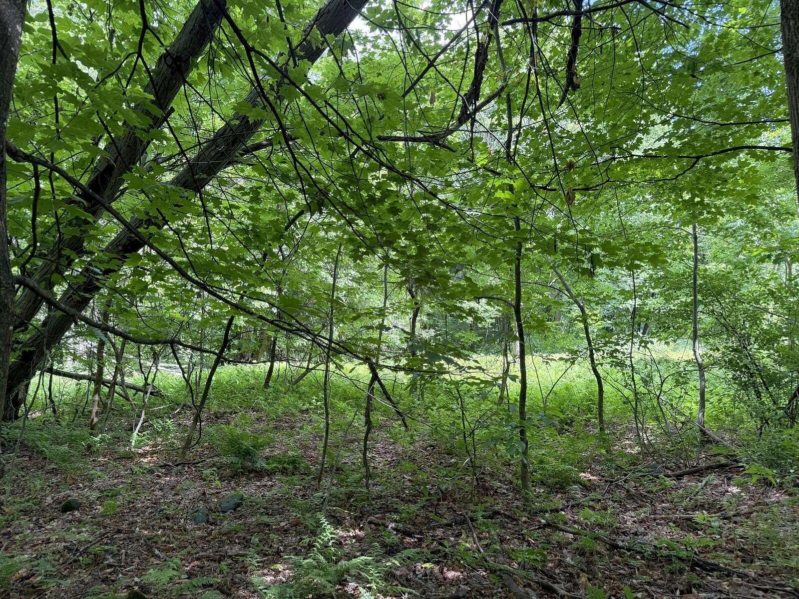 1.9 Acres of Residential Land for Sale in Jay, Maine