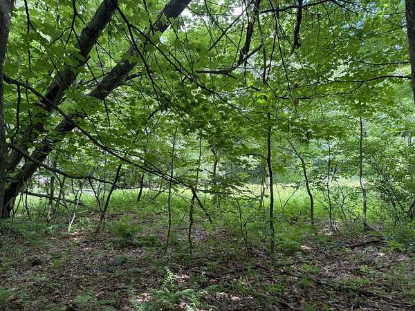 1.9 Acres of Residential Land for Sale in Jay, Maine