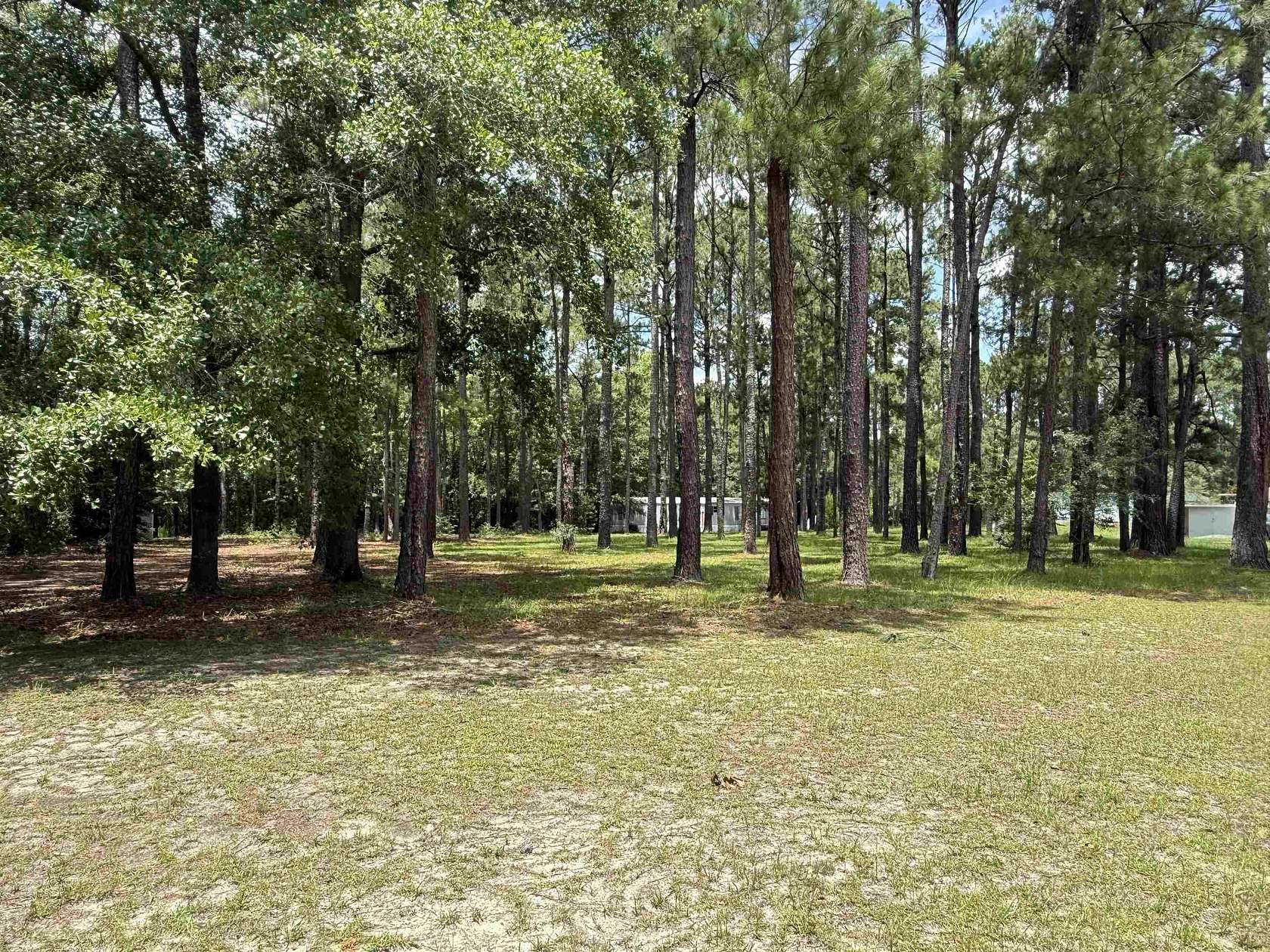 3 Acres of Land with Home for Sale in Conway, South Carolina