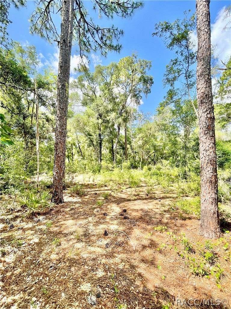 2.14 Acres of Residential Land for Sale in Inverness, Florida