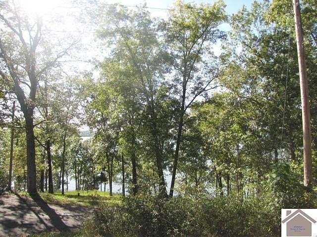 42 Acres of Recreational & Residential Land for Sale in Eddyville, Kentucky