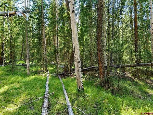 1 Acre of Land for Sale in Cimarron, Colorado