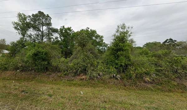 0.42 Acres of Residential Land for Sale in Okeechobee, Florida