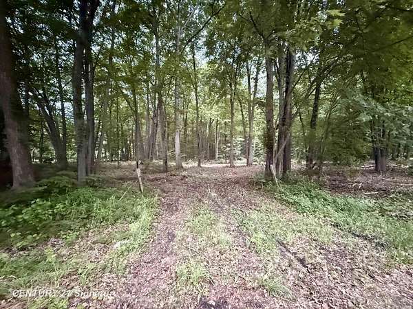 1.6 Acres of Residential Land for Sale in Burt, Michigan