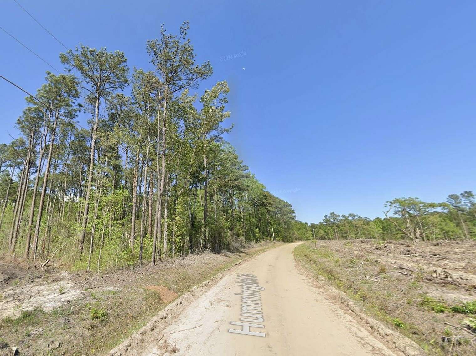 2 Acres of Residential Land for Sale in Georgetown, South Carolina