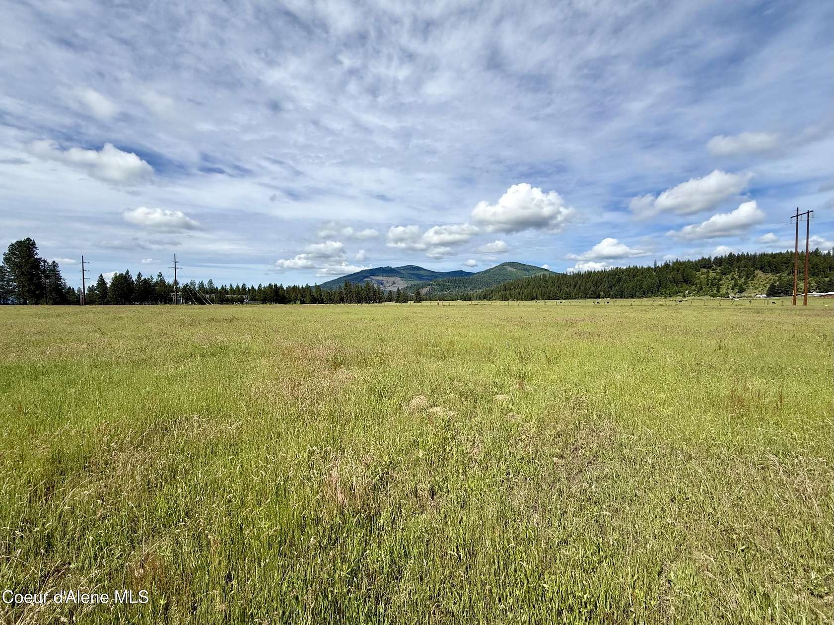 5 Acres of Residential Land for Sale in Rathdrum, Idaho