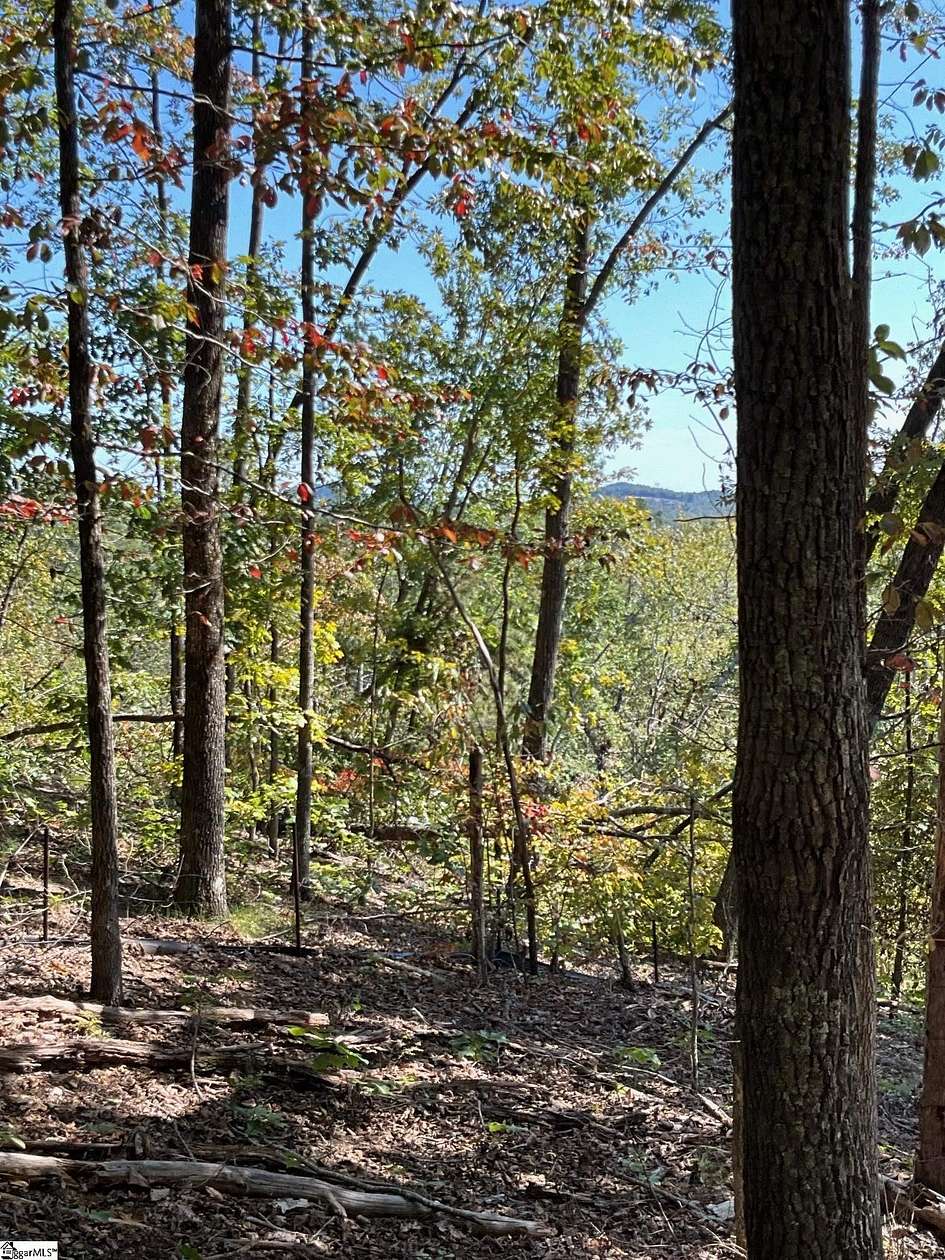 1.37 Acres of Residential Land for Sale in Marietta, South Carolina