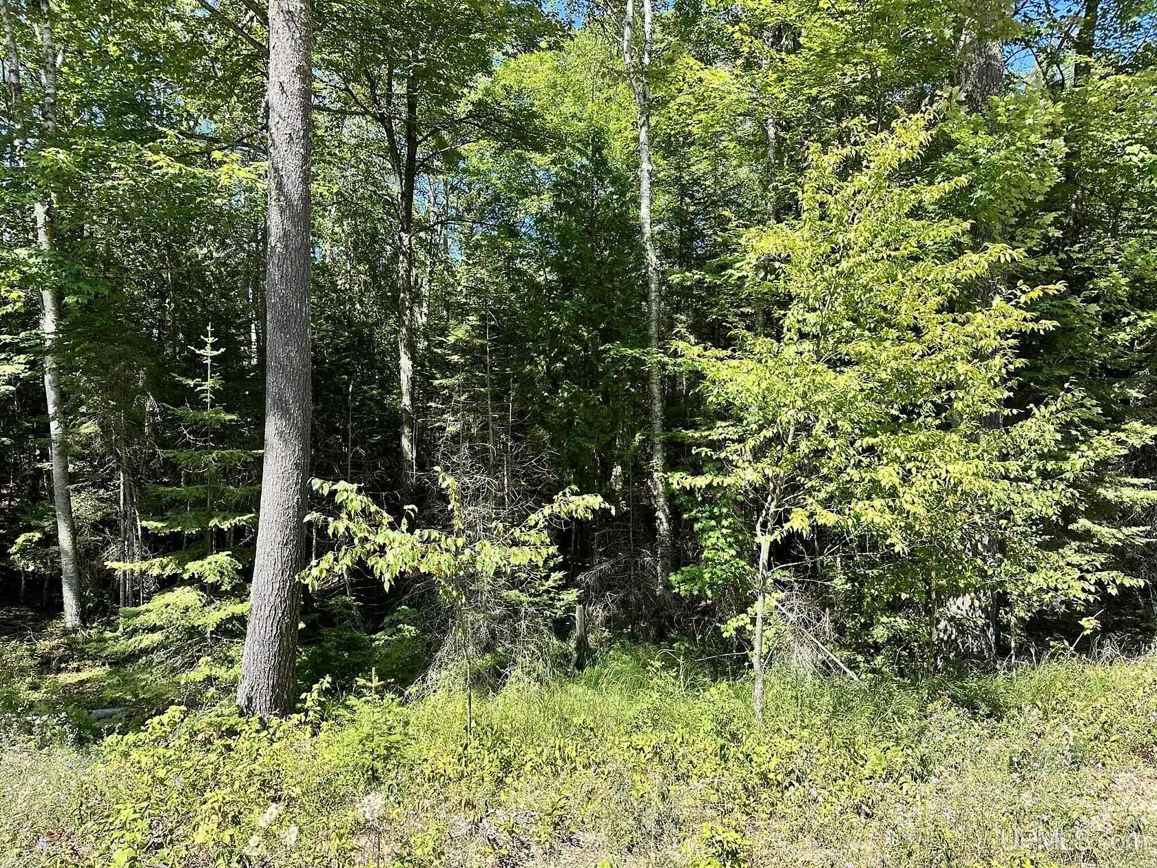 3.6 Acres of Residential Land for Sale in Manistique, Michigan