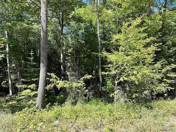 3.6 Acres of Residential Land for Sale in Manistique, Michigan