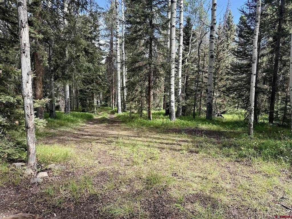 1 Acre of Land for Sale in Cimarron, Colorado