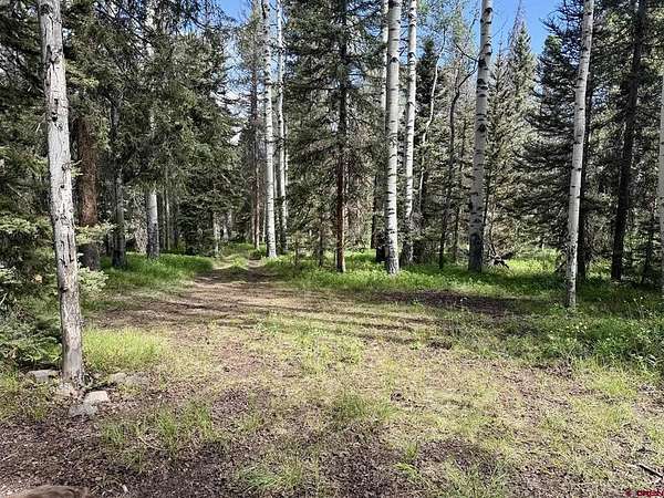 1 Acre of Land for Sale in Cimarron, Colorado