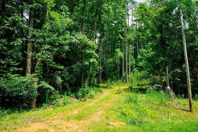 4.1 Acres of Residential Land for Sale in Warne, North Carolina