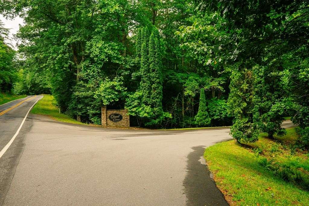 4.1 Acres of Residential Land for Sale in Warne, North Carolina