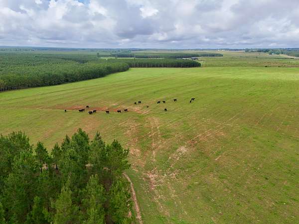 2,317 Acres of Land for Sale in Clopton, Alabama