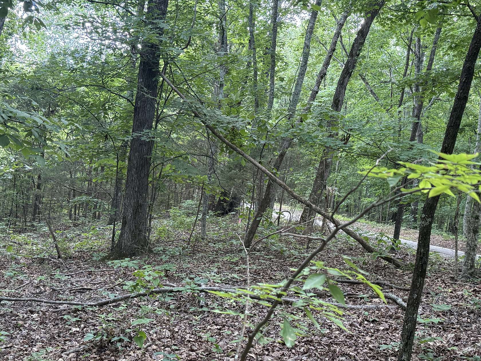 48 Acres of Recreational & Residential Land for Sale in Prospect, Tennessee