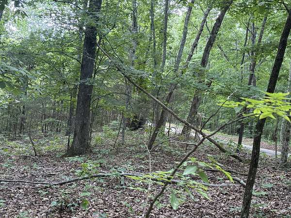 48 Acres of Recreational & Residential Land for Sale in Prospect, Tennessee