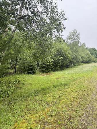 5.4 Acres of Land for Sale in Bucksport, Maine