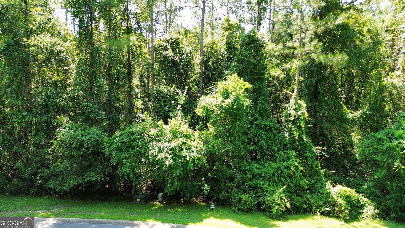 1.9 Acres of Residential Land for Sale in Woodbine, Georgia