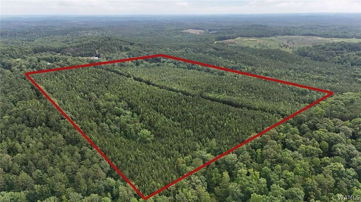 41 Acres of Land for Sale in Cottondale, Alabama