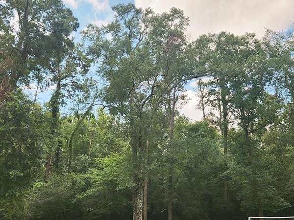 11.4 Acres of Land for Sale in Jasper, Texas