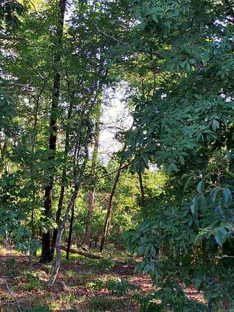 0.89 Acres of Residential Land for Sale in Hot Springs Village, Arkansas