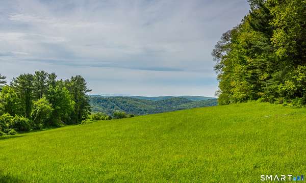 28 Acres of Agricultural & Residential Land for Sale in Canaan, Connecticut