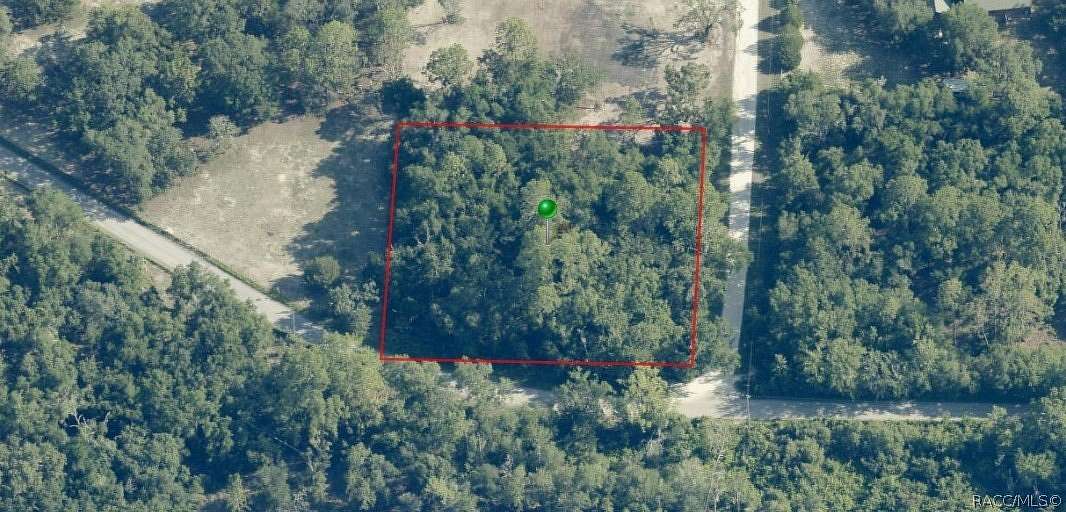1 Acre of Residential Land for Sale in Inverness, Florida