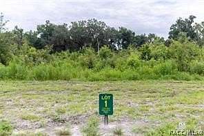 5.6 Acres of Residential Land for Sale in Oxford, Florida