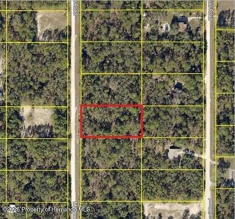 1 Acre of Residential Land for Sale in Brooksville, Florida