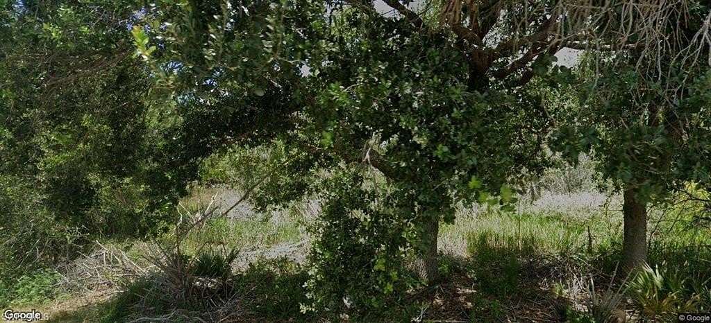 0.24 Acres of Residential Land for Sale in Lehigh Acres, Florida