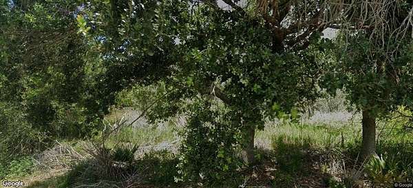 0.24 Acres of Residential Land for Sale in Lehigh Acres, Florida