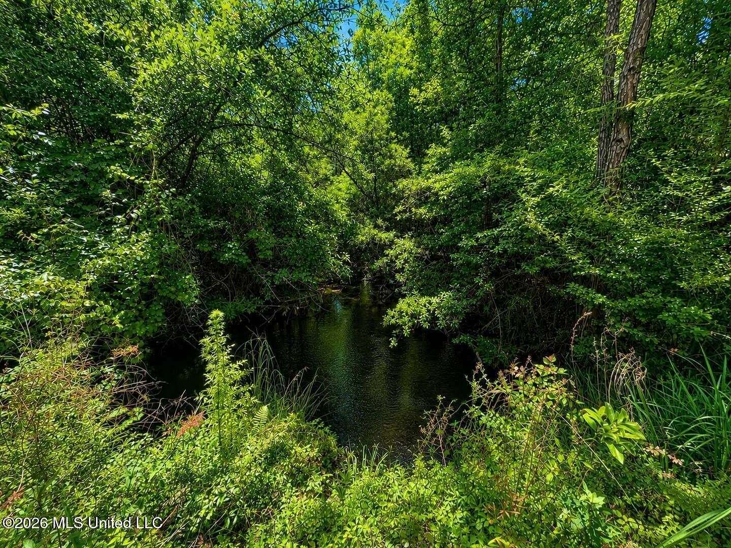 8.2 Acres of Residential Land for Sale in McLain, Mississippi