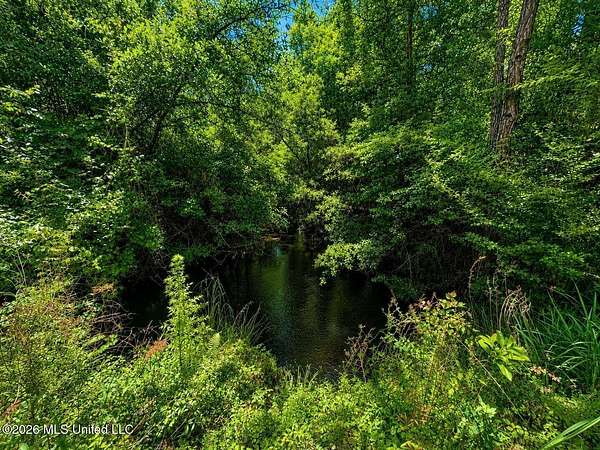 8.2 Acres of Residential Land for Sale in McLain, Mississippi