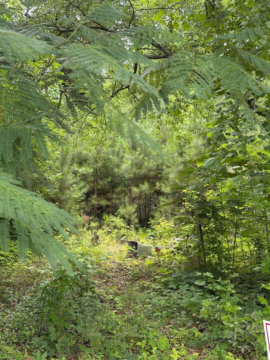 1 Acre of Land for Sale in Hamilton, Alabama