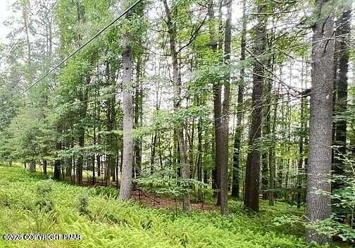 0.5 Acres of Residential Land for Sale in Bushkill, Pennsylvania