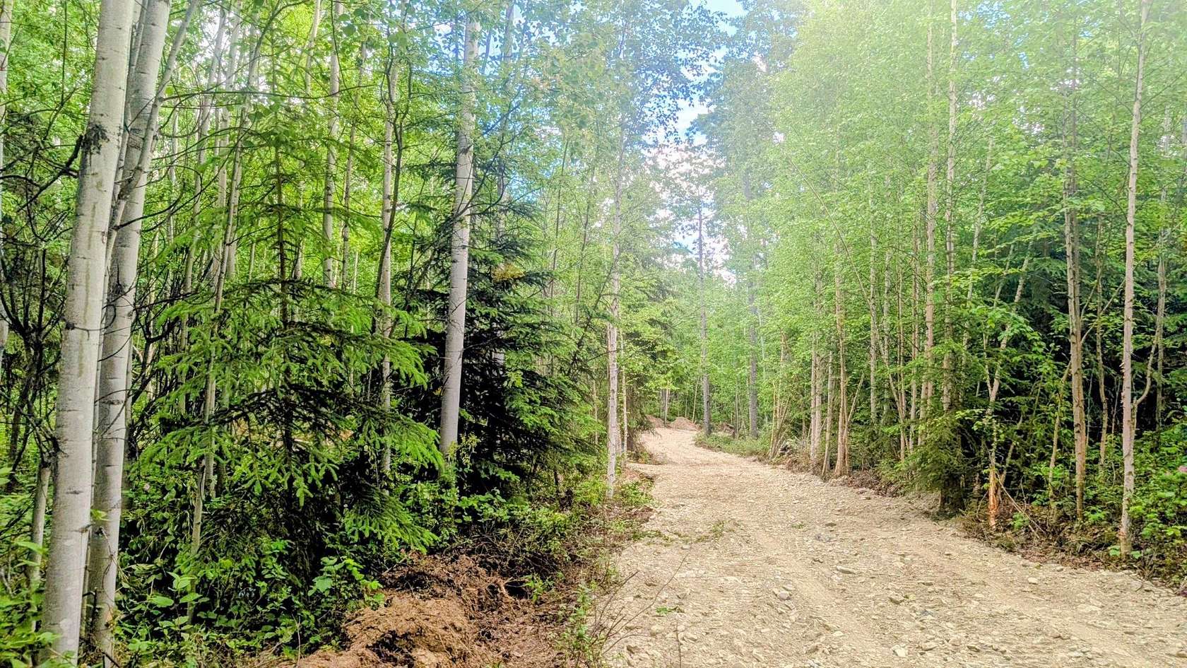 1.73 Acres of Residential Land for Sale in Fairbanks, Alaska