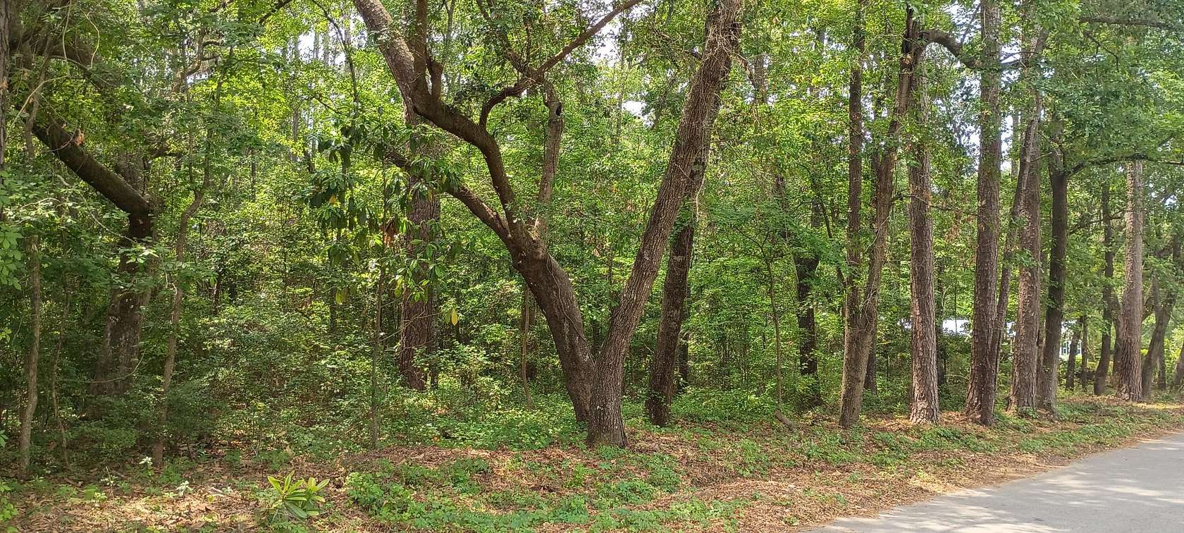0.79 Acres of Residential Land for Sale in Summerville, South Carolina