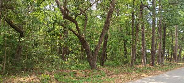 0.79 Acres of Residential Land for Sale in Summerville, South Carolina