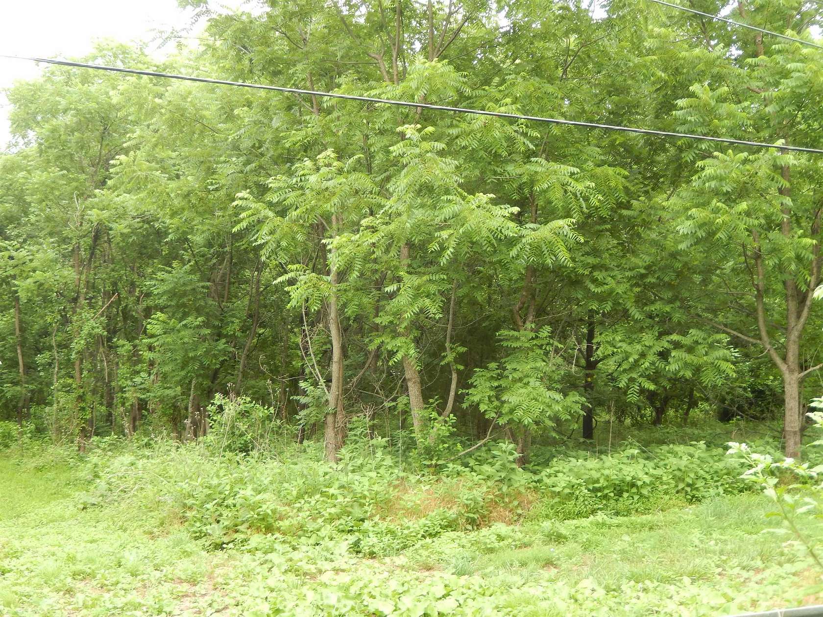2 Acres of Residential Land for Sale in Elkton, Virginia
