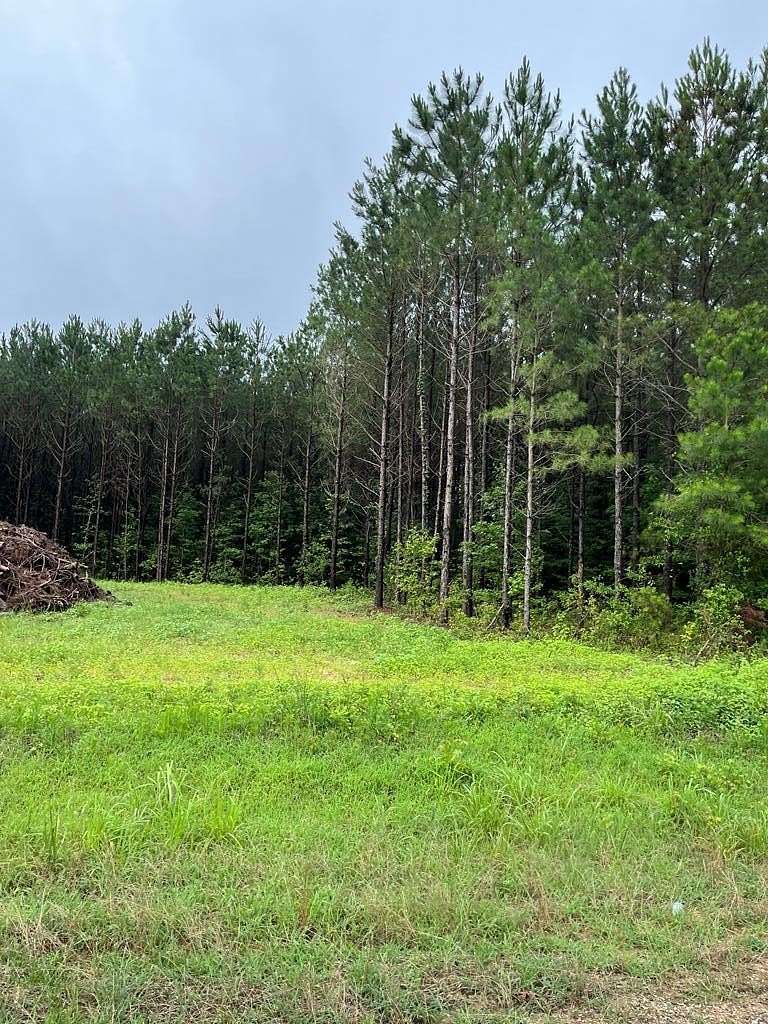 4.5 Acres of Residential Land for Sale in Banks, Alabama